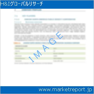 市場と産業調査レポートのイメージ